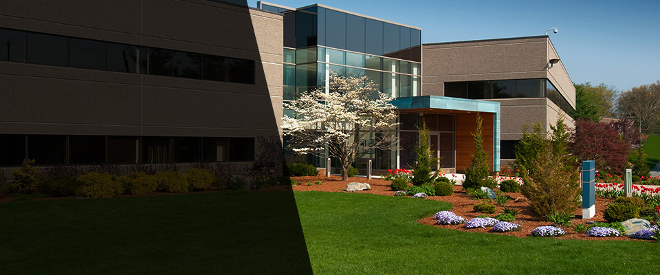 Belvedere Tiburon Landscapers