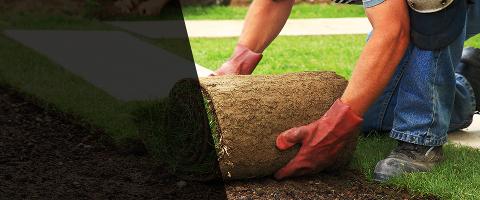 Belvedere Tiburon Landscapers